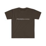 Philadelphus erectus Men's Fitted Short Sleeve Tee