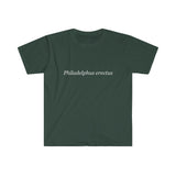 Philadelphus erectus Men's Fitted Short Sleeve Tee