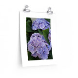 How's Your Hydrangea? Poster