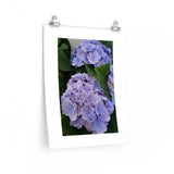 How's Your Hydrangea? Poster