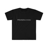 Philadelphus erectus Men's Fitted Short Sleeve Tee