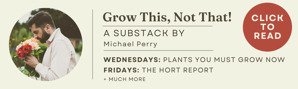 Mr Plant Geek Shop