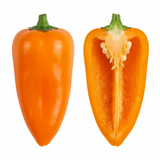 Set of 3 or 6 Large Plants - Sweet Pepper Snack Orange, Ready to Plant in Your Garden