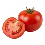 Set of 3 or 6 Patio Tomato Jo & Grace Plants, Live Tomato Seedlings, Outdoor Garden Ready, 1L Root Ball