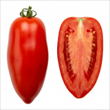 Set of 3 or 6 Grafted Cornabel Tomato Plants, Premium Live Plants, Outdoor & Greenhouse Ready, 1L Root Ball