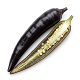 1 Zimbabwe Black Chilli Pepper Plant, Live Hot Pepper, Grow Your Own Chilli, 2Ltr Root Ball