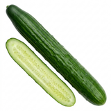 1 Cucumber Tasty Green Plant, Grow Your Own Fresh Cucumbers, Garden Ready, 2 Litre Root Ball