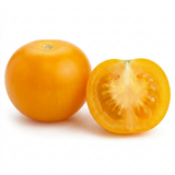 1 Tumbling Tom Yellow Cherry Tomato Plant, Patio Trailing, Outdoor Garden Ready, 2 Litre Root Ball