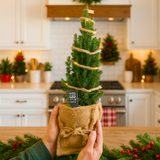 Christmas tree in sack with lights