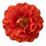 Set of 3 or 6 Geum Mrs Bradshaw Hardy Perennial Plants, Scarlet Red Double Cottage Garden Flowers, Outdoor Garden Ready, 1 Litre Root-Ball