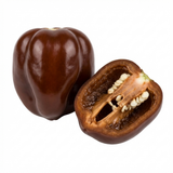 Set of 3 or 6 Large Chilli Pepper Plants - Habanero Chocolate, Ready to Plant in Your Garden