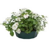 7 Colour Coordinated Plants - Effortless Chic Theme Speedplanter, Garden Ready