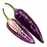 Set of 3 or 6 Large Plants - Grow Your Own Chilli Pepper Gusto Purple, Garden Ready
