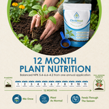 CircleRoot Advanced Soil Enhancer - Use 50% Less Water, 500grm Pouch