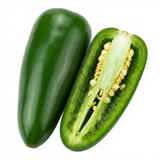 Set of 3 or 6 Large Chilli Pepper Plants - Jalapeno Variety, Ready to Plant in Your Garden