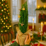 Christmas tree in Jute Sack with baubles