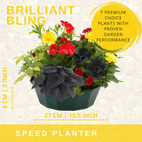 7 Colour Coordinated Plants - Brilliant Bling Theme Speedplanter, Garden Ready