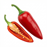 Set of 3 or 6 Large Plants - Grow Your Own Chilli Pepper Apache, Garden Ready