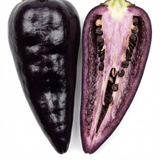 Set of 3 or 6 Large Chilli Pepper Plants - Zimbabwe Black, Ready to Plant in Your Garden