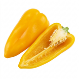1 Yellow Sweet Pepper Plant, 2 Litre Root Ball, Astor Conical Variety, Garden Ready, Grow Your Own Veg