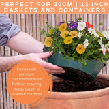 7 Colour Coordinated Plants - Tangerine Twist Theme Speedplanter, Garden Ready