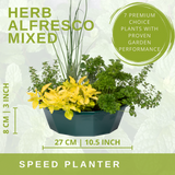 Herb Alfresco Mixed SpeedPlanter – 7 Fresh Culinary Herbs, Garden Ready