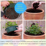 7 Colour Coordinated Plants - Berry Swirl Theme Speedplanter, Garden Ready