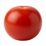 Set of 3 or 6 Large Plants - Tomato Tumbling Tom Variety, Outdoor Garden Ready, 10.5 cm