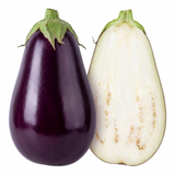 Set of 3 or 6 Large Plants - Grow Your Own Aubergine Galine, Outdoor Garden Ready