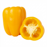 Set of 3 or 6 Large Plants - Sweet Pepper Snack Yellow, Ready to Plant in Your Garden