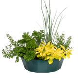 Herb Alfresco Mixed SpeedPlanter – 7 Fresh Culinary Herbs, Garden Ready