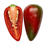 1 Apache Chilli Pepper Plant, Live Hot Pepper, Patio Ready, Grow Your Own Chilli, 2Ltr Root Ball