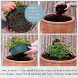 7 Colour Coordinated Plants - Effortless Chic Theme Speedplanter, Garden Ready