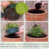 Herb Alfresco Mixed SpeedPlanter – 7 Fresh Culinary Herbs, Garden Ready