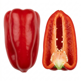 1 Sweet Pepper Thor Live Plant, Outdoor Garden Ready, Grow Your Own Vegetables, 2Ltr Root Ball