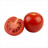 1 Gardeners Delight Cherry Tomato Plant, Live Outdoor Garden Ready, Established 2 Litre Root Ball