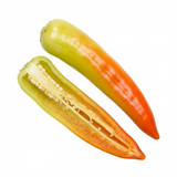 Set of 3 or 6 Large Chilli Pepper Plants - Hungarian Hot Wax, Ready to Plant in Your Garden