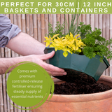 Herb Alfresco Mixed SpeedPlanter – 7 Fresh Culinary Herbs, Garden Ready