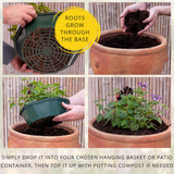 7 Colour Coordinated Plants - Brilliant Bling Theme Speedplanter, Garden Ready