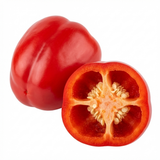 Set of 3 or 6 Large Plants - Sweet Pepper Snack Red, Ready to Plant in Your Garden