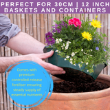 7 Colour Coordinated Plants - Berry Swirl Theme Speedplanter, Garden Ready