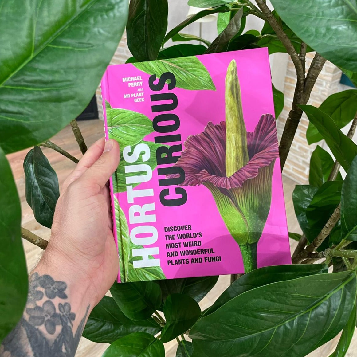 Hortus Curious by Michael Perry